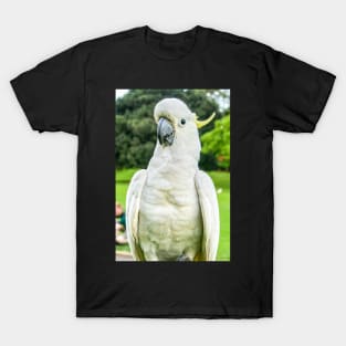 Sulphur-Crested Cockatoo T-Shirt